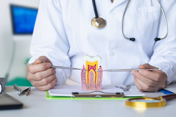 Best Urgent Dental Care for Toothache in Pekin, IL